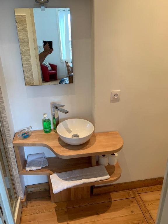 a bathroom with a sink and a person taking a picture at VIEUX LILLE Porte de Gand Bienvenue chez NESTYOU, Lille in Lille