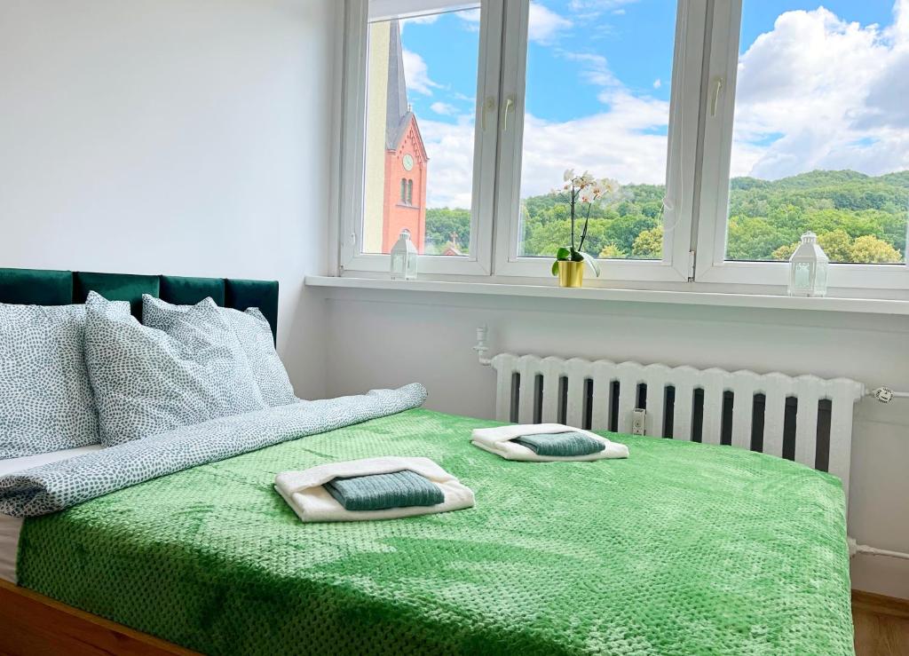 een slaapkamer met een bed met een groene deken en een raam bij Apartament Parkowy in Wałbrzych