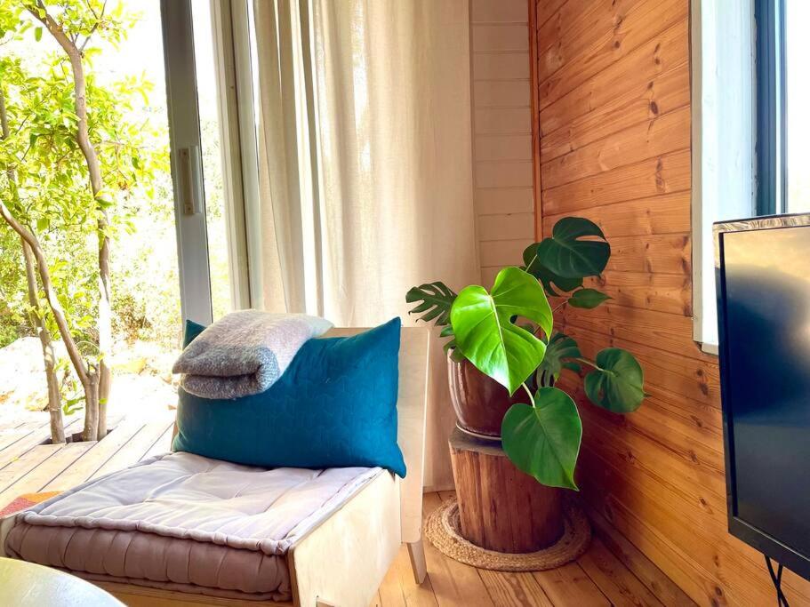 TV a/nebo společenská místnost v ubytování Solara Cabin