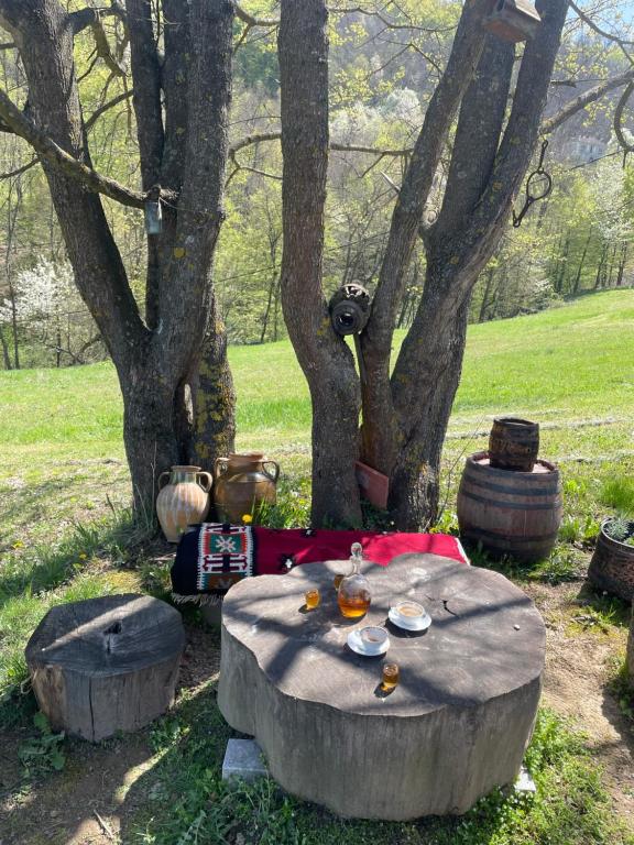 Zahrada ubytování Kuca pod Rudnikom