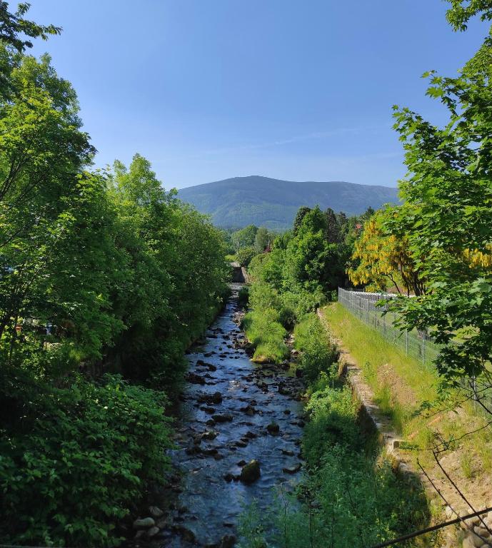 Príroda v okolí apartmánu