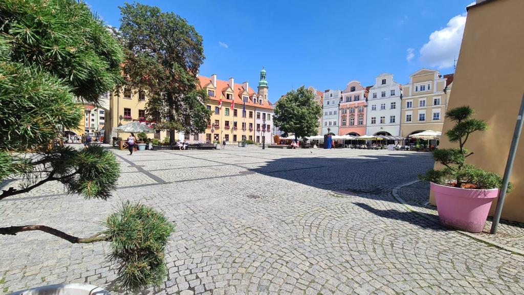 Sun And Ski Jelenia Góra - 19