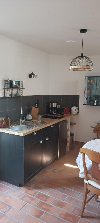 kuchnia ze zlewem i blatem w obiekcie Gîte de charme atypique vue panoramique w mieście Montrevault