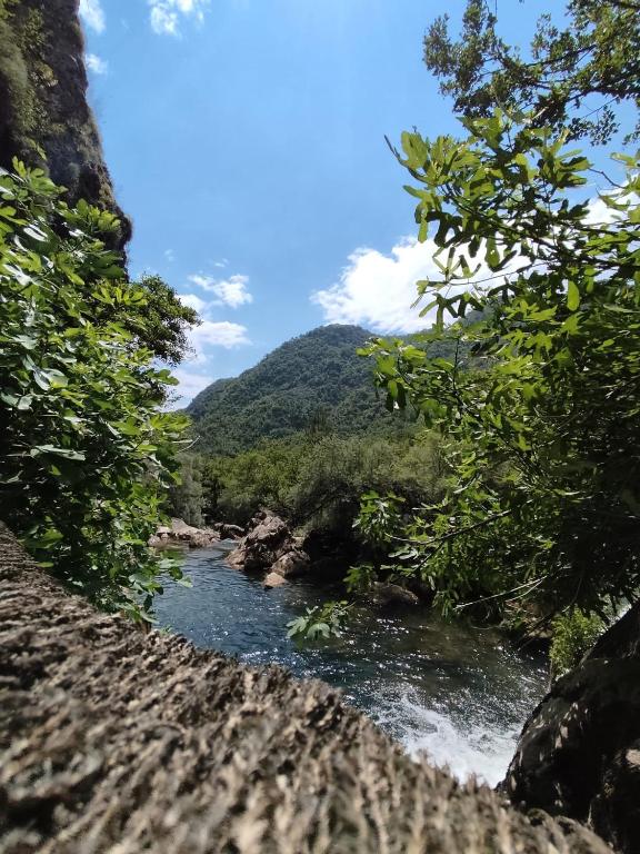 Paisagem natural perto do apartamento