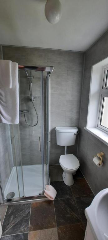 Koupelna v ubytování Conn Oriel B&B