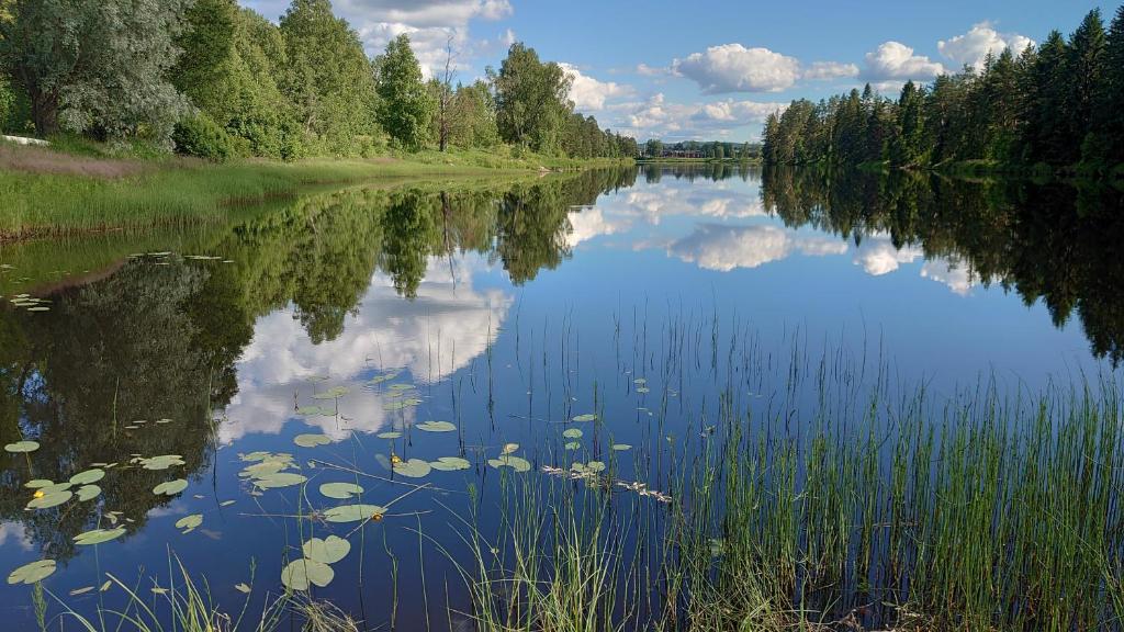 a river with a reflection of trees and clouds in the water at Äppelbo Gästgiveri in Äppelbo