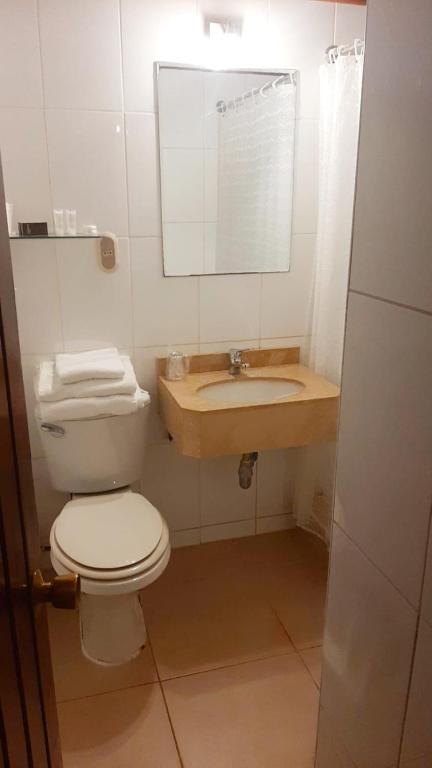 a bathroom with a toilet and a sink and a mirror at Panamericana Hotel Ancud in Ancud