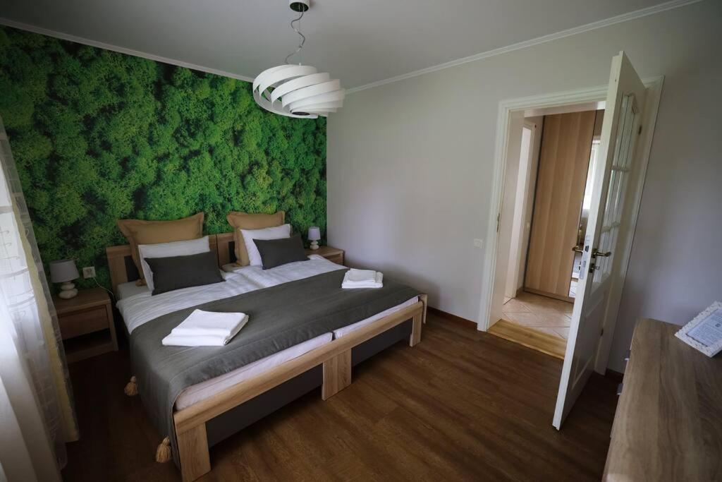 ツェーシスにあるGreenland Apartmentsの緑の壁のベッドルーム1室(大型ベッド1台付)