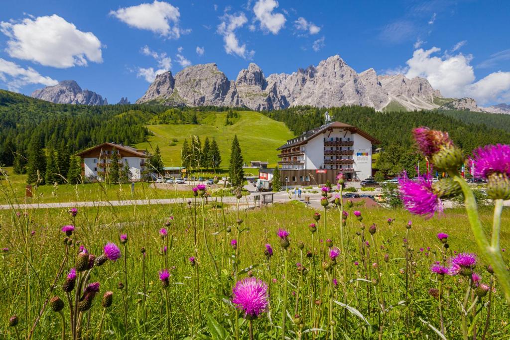 a field of flowers with mountains in the background at Hotel Kreuzberg Monte Croce in Sesto