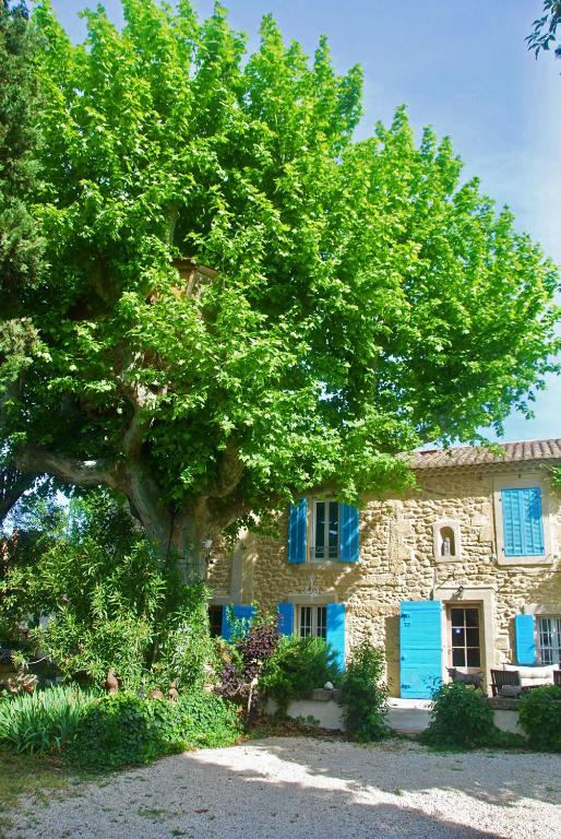 un grand arbre devant un bâtiment avec volets bleus dans l'établissement Les Volets Bleus Provence, à Salon-de-Provence
