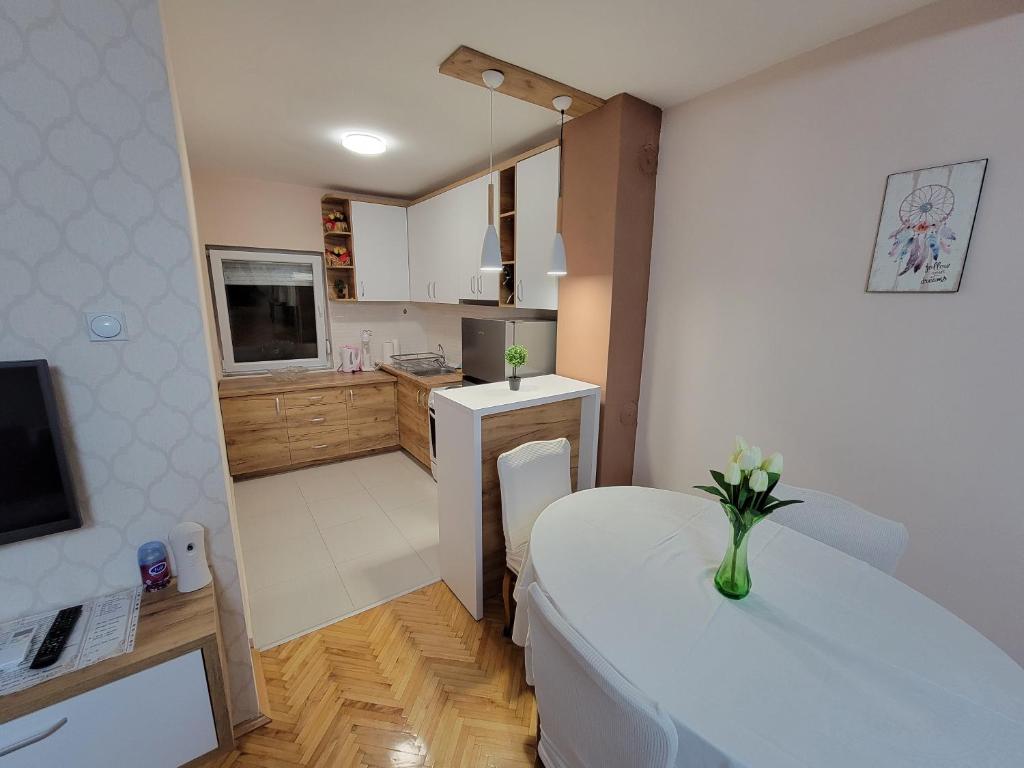 Kuchyň nebo kuchyňský kout v ubytování Stavrov Apartment