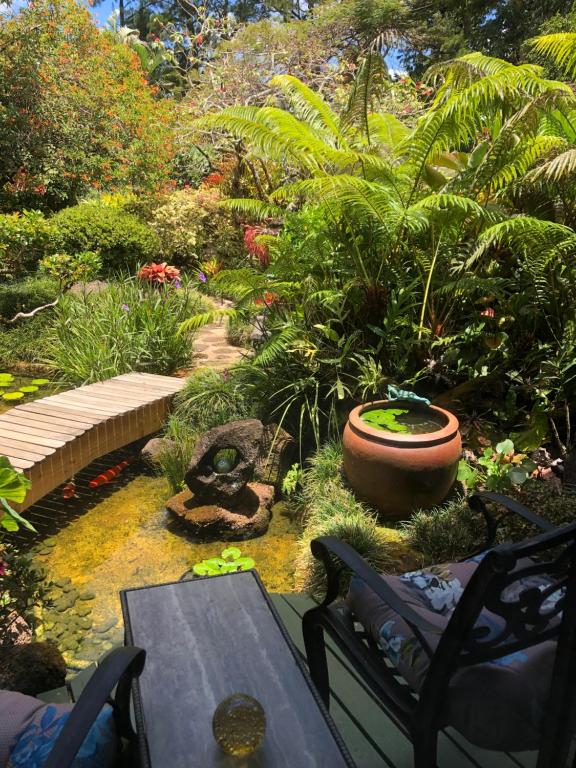 a garden with a table and chairs and plants at The Secret Garden Room in Kapaa