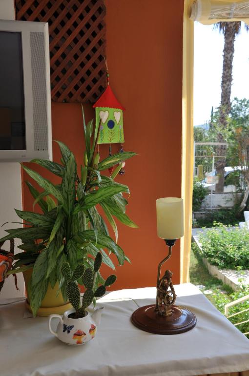 Zahrada ubytování Tuncer Garden Hotel