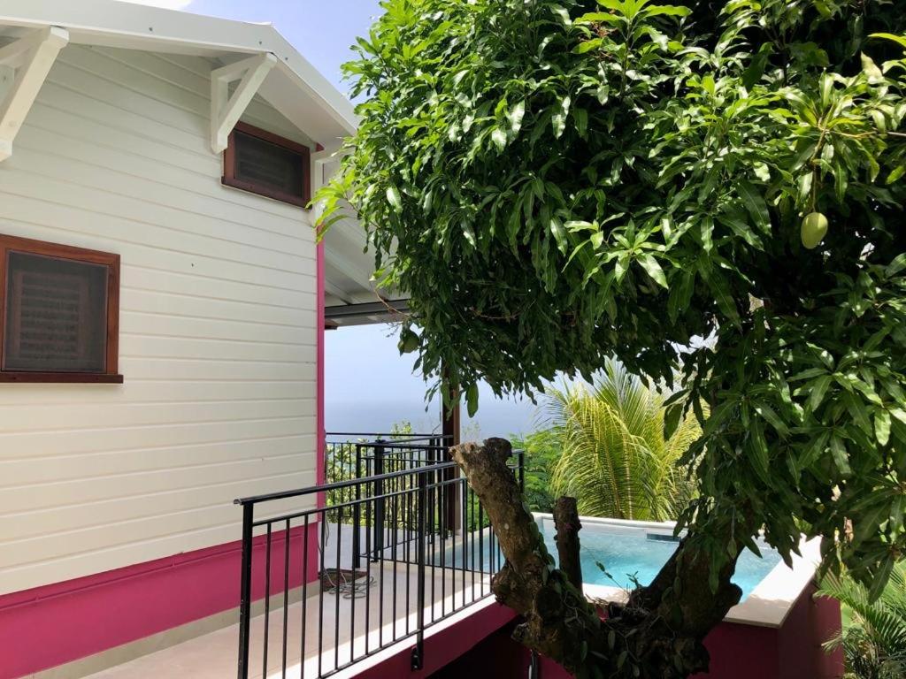 Giardino di Magnifique Villa Bauhinia, Piscine vue mer