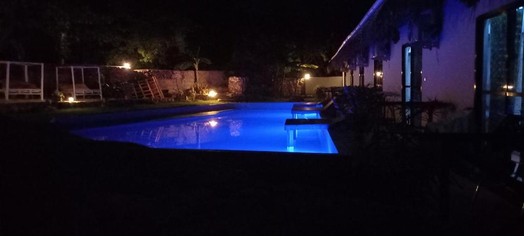 Bazén v ubytování Tropicana Garden nebo v jeho okolí