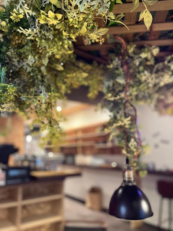 Fotografie z fotogalerie ubytování HOTEL ERENOA v destinaci Nagoja