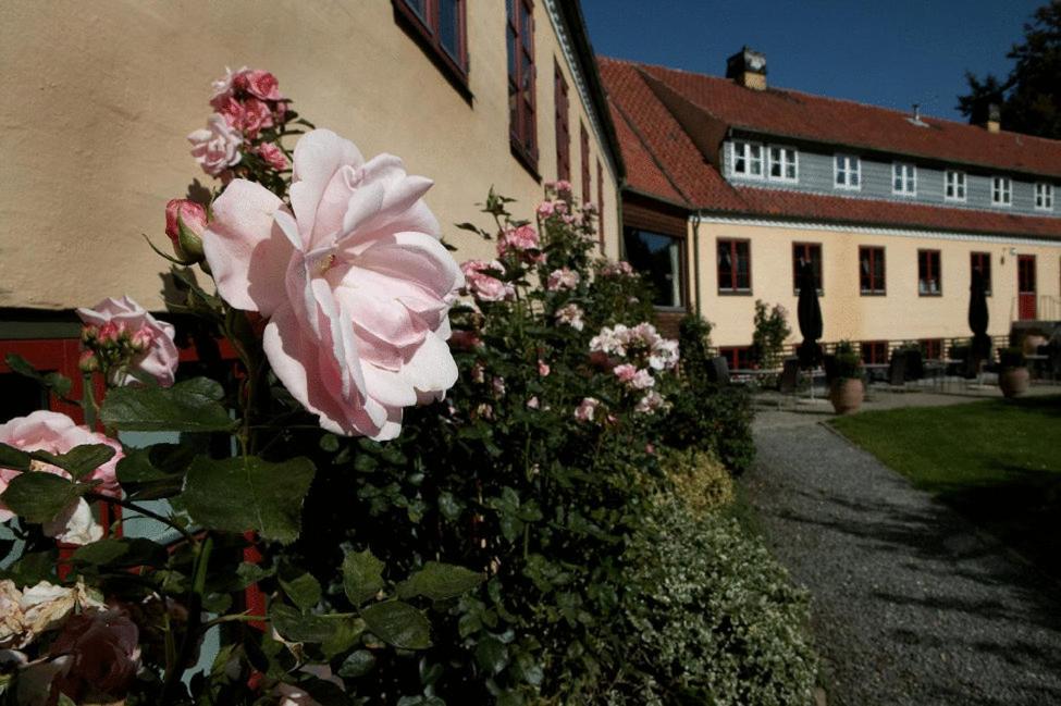 Zahrada ubytování Hotel Kongensbro Kro