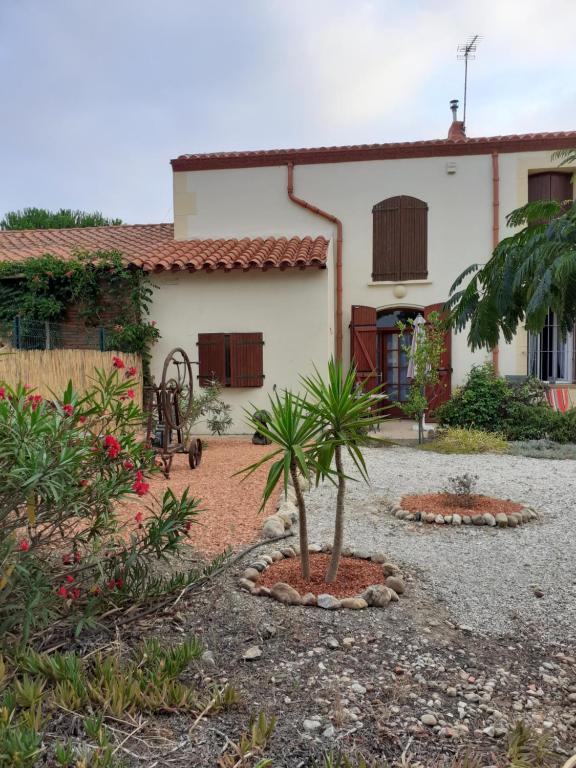 a house with a palm tree in front of it at Bompastor in Bompas