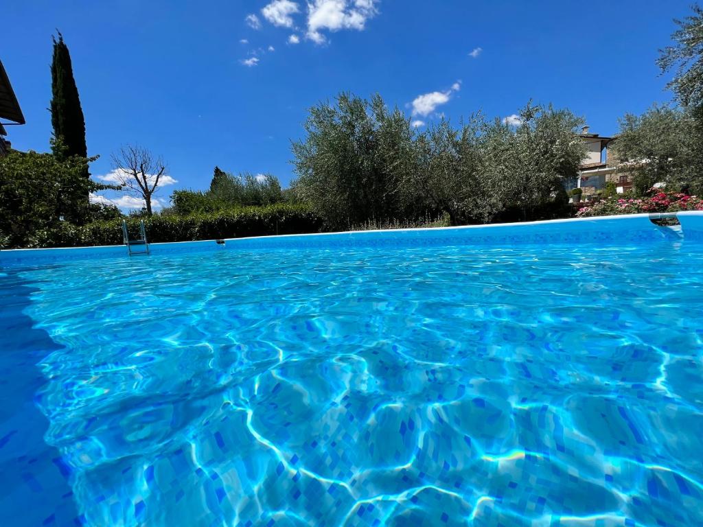 a pool of blue water with trees in the background at CorteViva Boutique B&B in Perugia