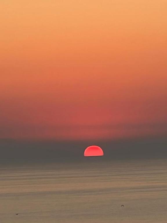 Moonlight RMC Apartments, Mamaia (updated prices 2024)