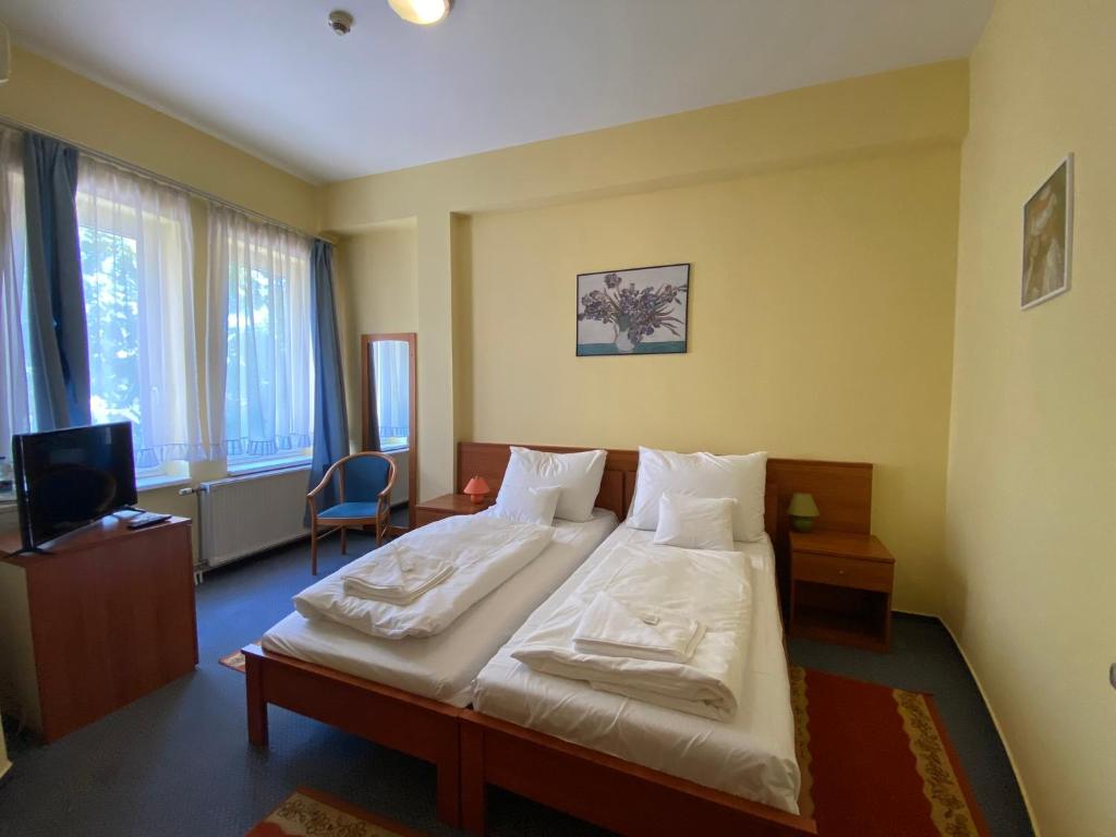 Tisza Alfa Hotel - Resim 13