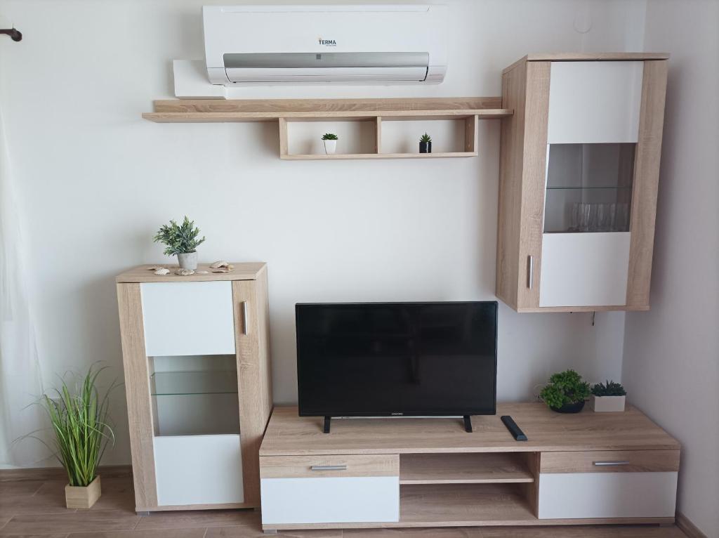 Televízia a/alebo spoločenská miestnosť v ubytovaní Apartman Periska