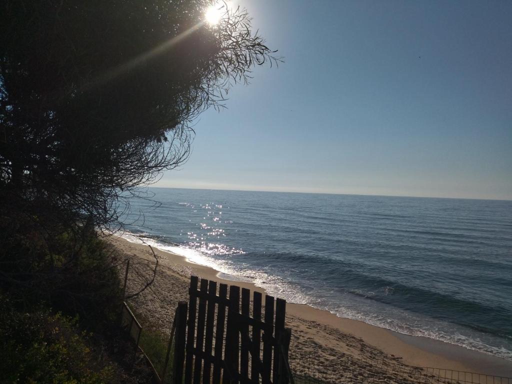La pineta fronte mare
