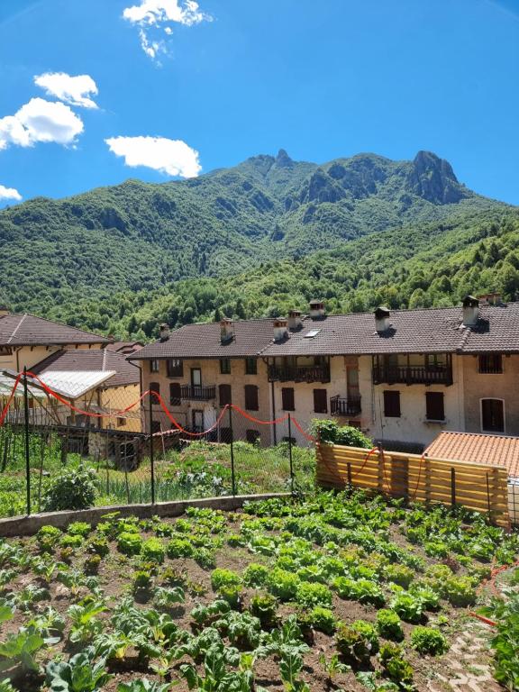 Nespecifikovaný výhled na hory nebo výhled na hory při pohledu z bed and breakfast