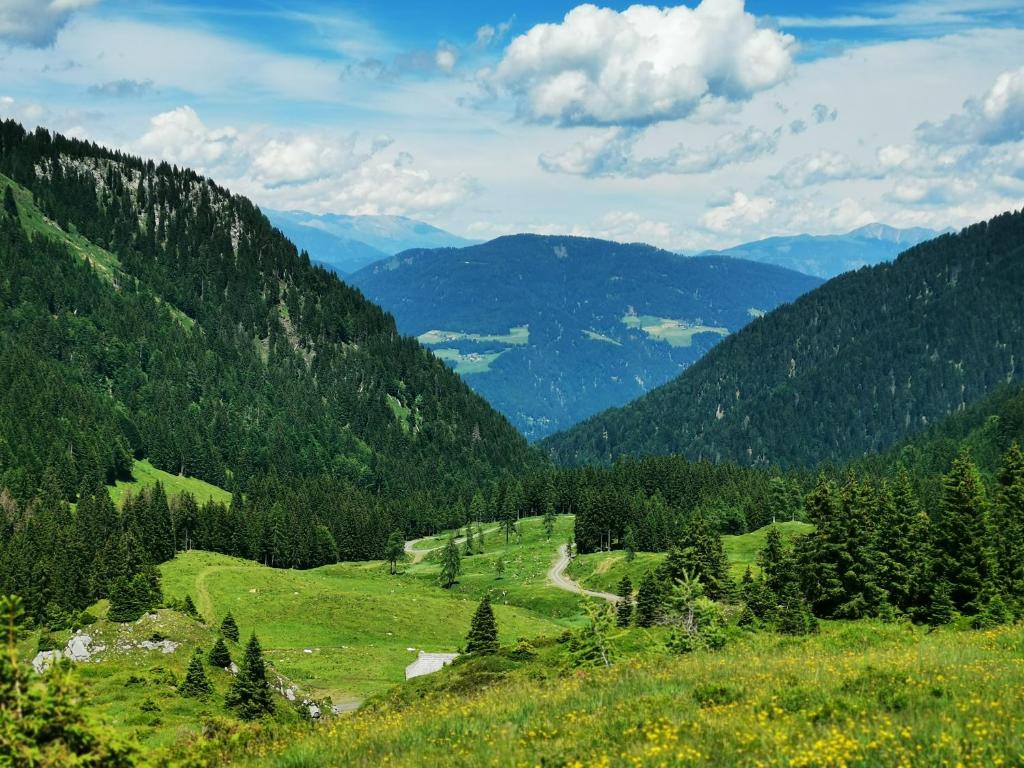 Příroda nedaleko apartmánu