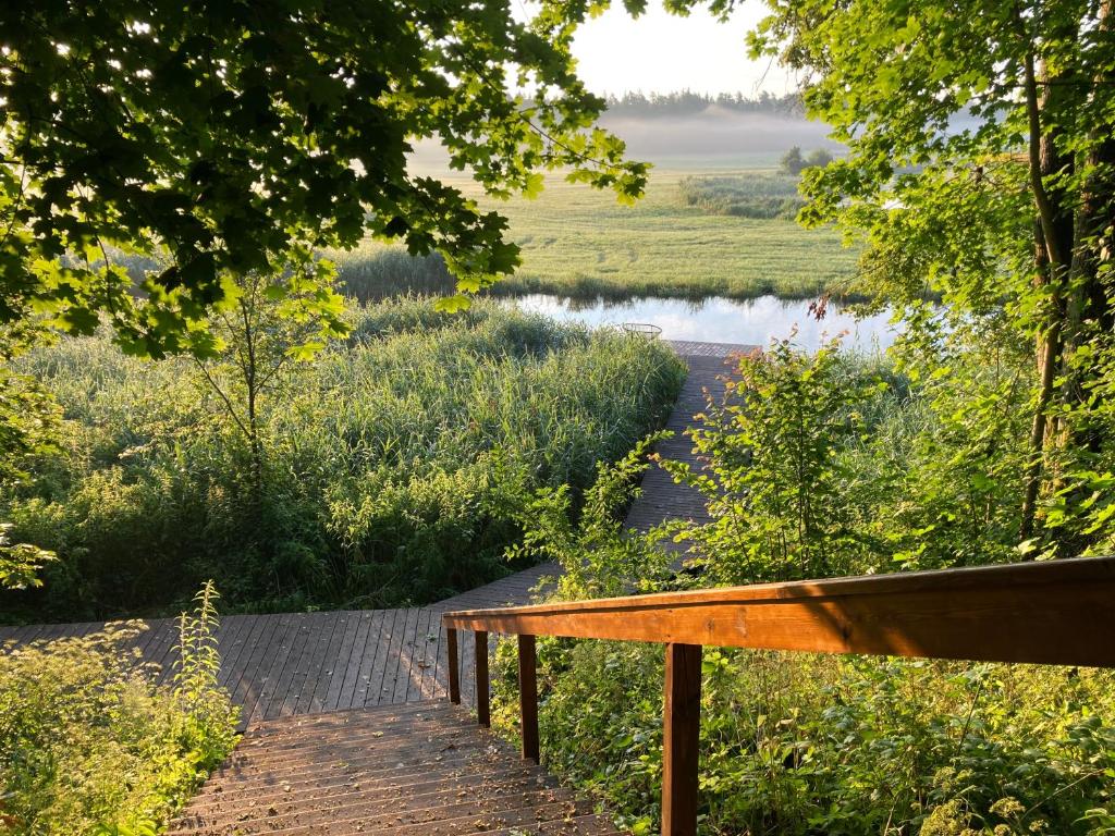 a wooden walkway leading to a river with a bench at Pustelnia Supraśl - domki nad rzeką in Supraśl