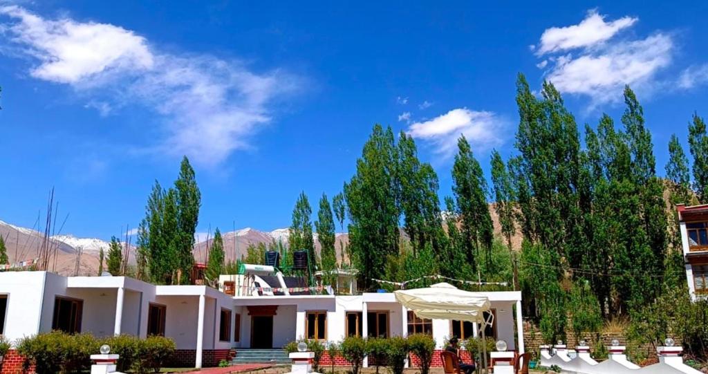 a large white house with trees in the background at Ladakh Kingdom, Leh in Leh