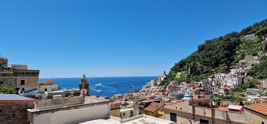 Il Pellicano