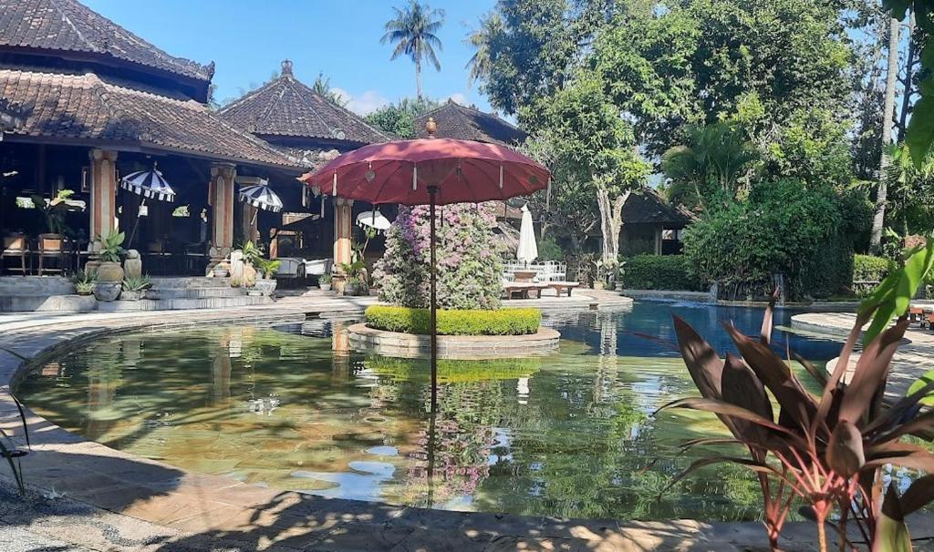 a pool with an umbrella in front of a house at Rambutan Hotel in Lovina
