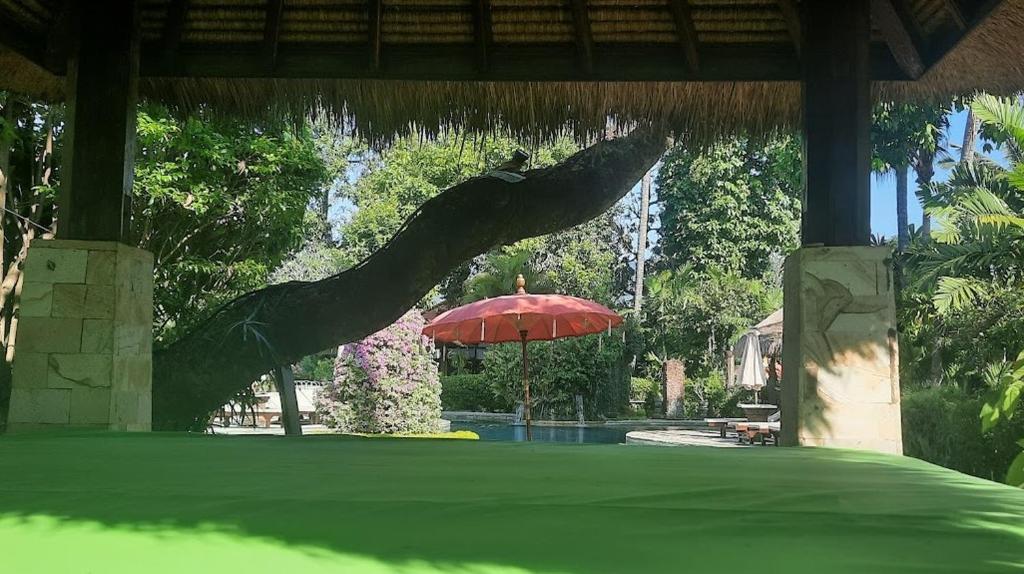 a red umbrella sitting next to a swimming pool at Rambutan Hotel in Lovina