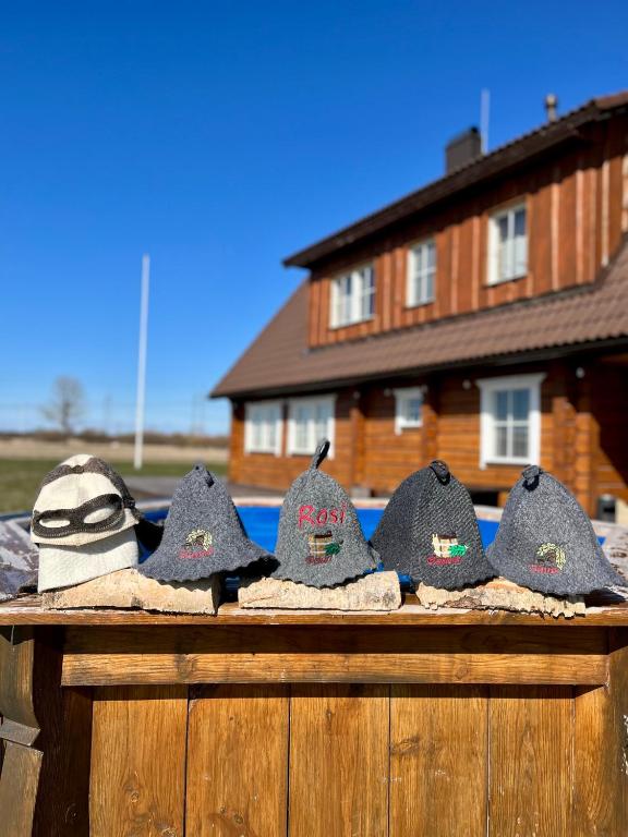 Fotografie z fotogalerie ubytování Rosi Puhkemaja v destinaci Koljala