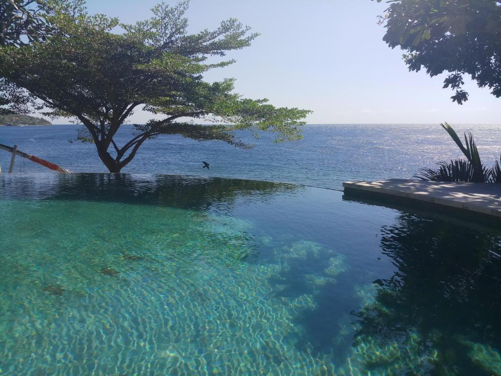 a swimming pool with a tree in the water at Amed Santorini Villa in Amed