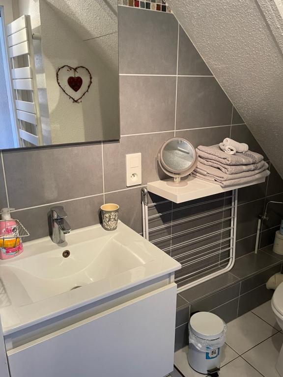 Aux petits cœurs de Colmar PETITE VENISE – photo 34