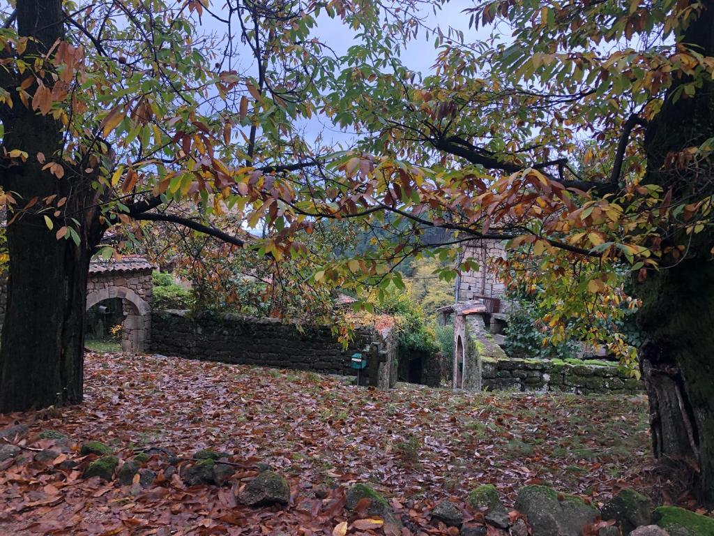 Zahrada ubytování Le Relais des Bouziges