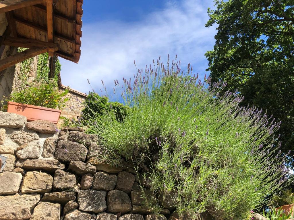 Zahrada ubytování Le Relais des Bouziges