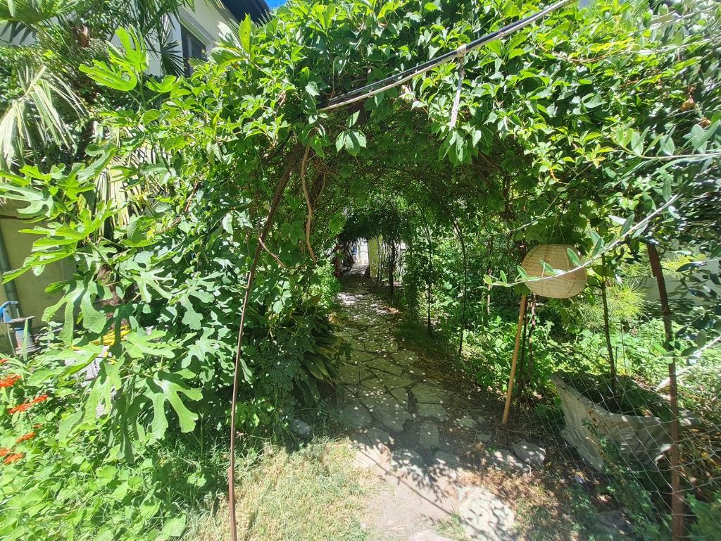 Mi Casa es Tu Casa - Shkodra Backpackers Hostel - Imazhi 8