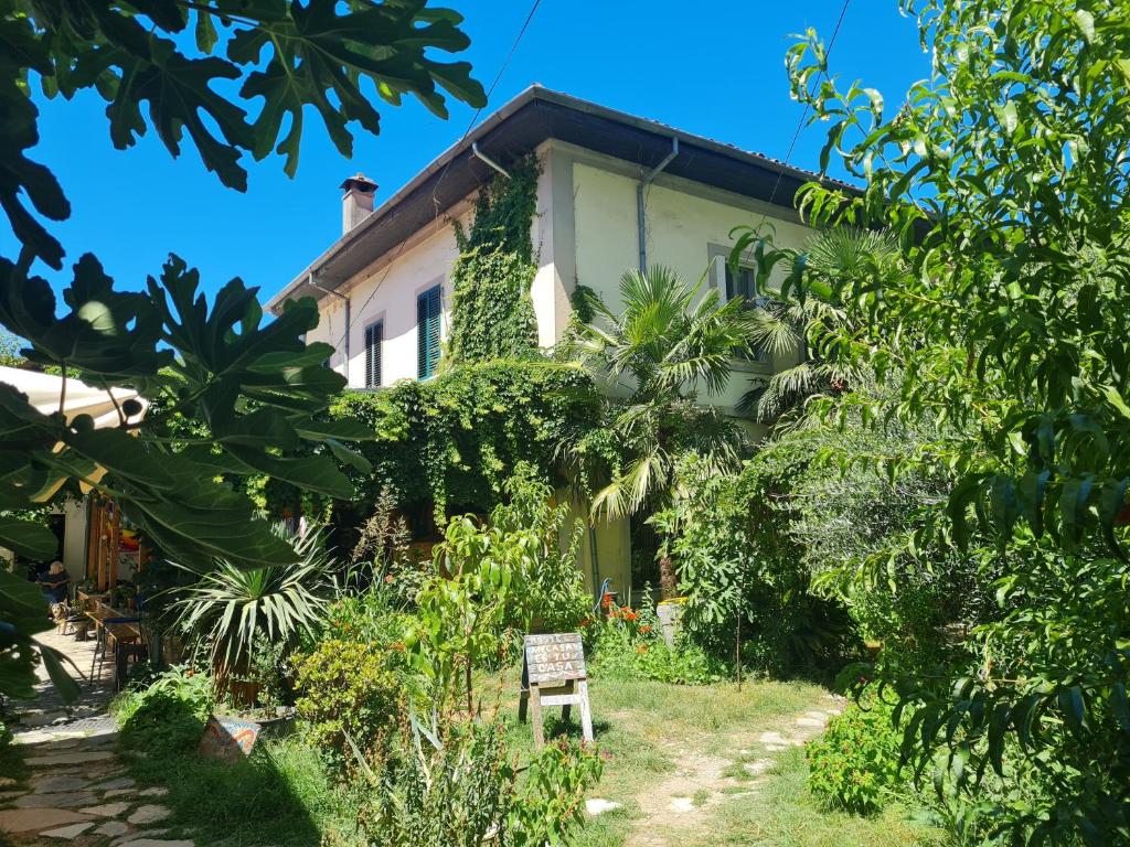 Mi Casa es Tu Casa - Shkodra Backpackers Hostel - Imazhi 6
