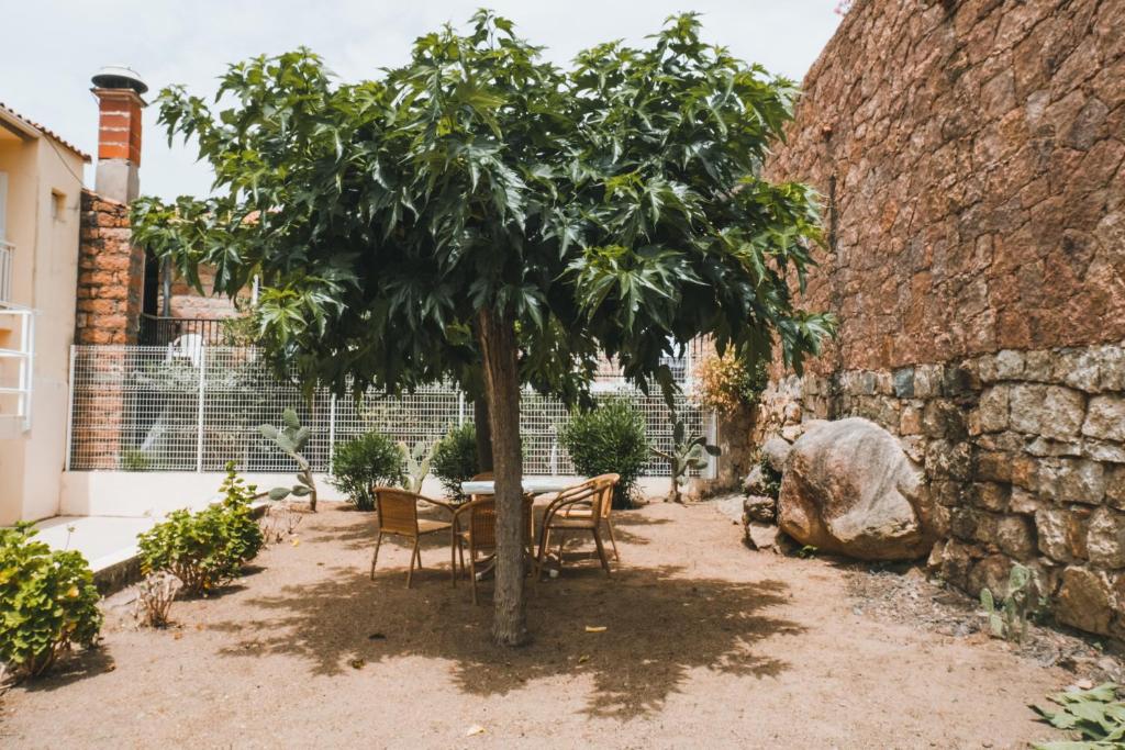 a table and chairs under a tree in a courtyard at Résidence Idéal-Subrini in Porto Ota