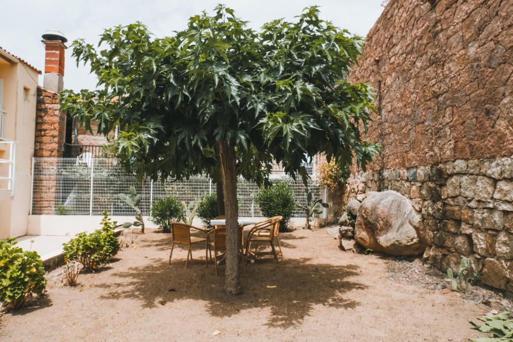 una mesa y sillas bajo un árbol en un patio en Résidence Idéal-Subrini, en Porto Ota