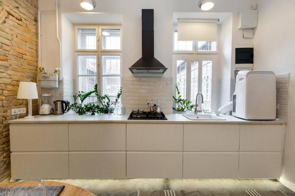 Kuchyňa alebo kuchynka v ubytovaní Bohemian Dream Home In The Absolute Center w 2BR/2BT