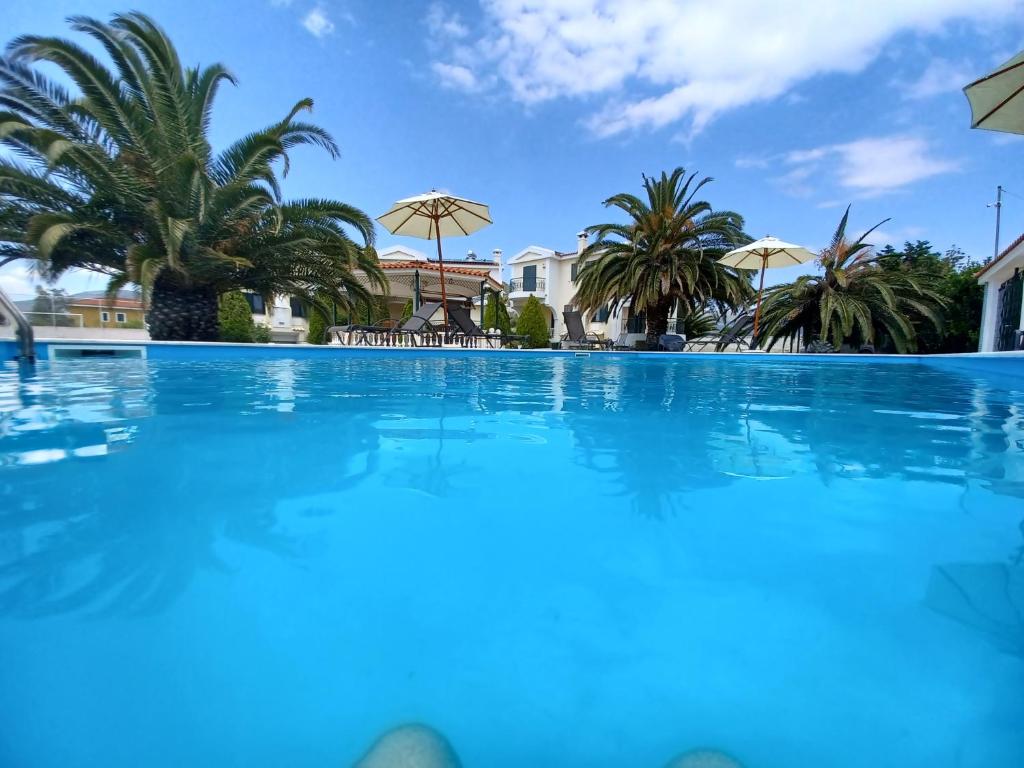 uma grande piscina com palmeiras e guarda-sóis em PALMAR CLUB - Villa ZENOBIA em Vraná