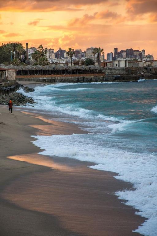 Mövenpick Comfort Elite