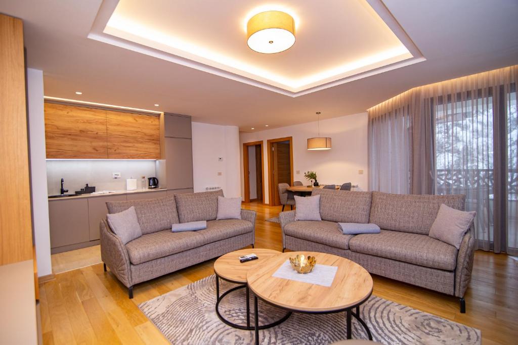 Vila Maša Zlatibor - Resim 21