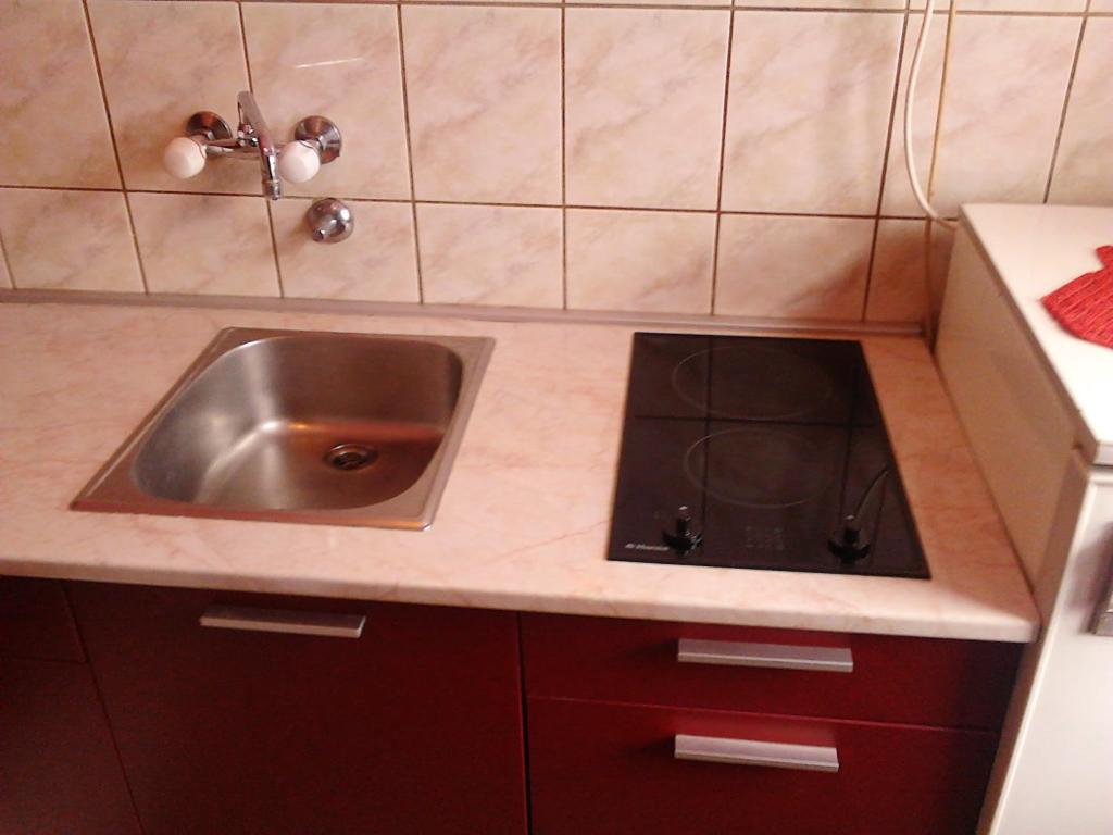 Kuhinja ili čajna kuhinja u objektu Hostel Ruler