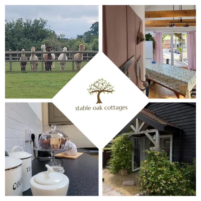a collage of photos with a picture of a tree on a fence at Oak Cottage with private log fired hot tub in Maidstone