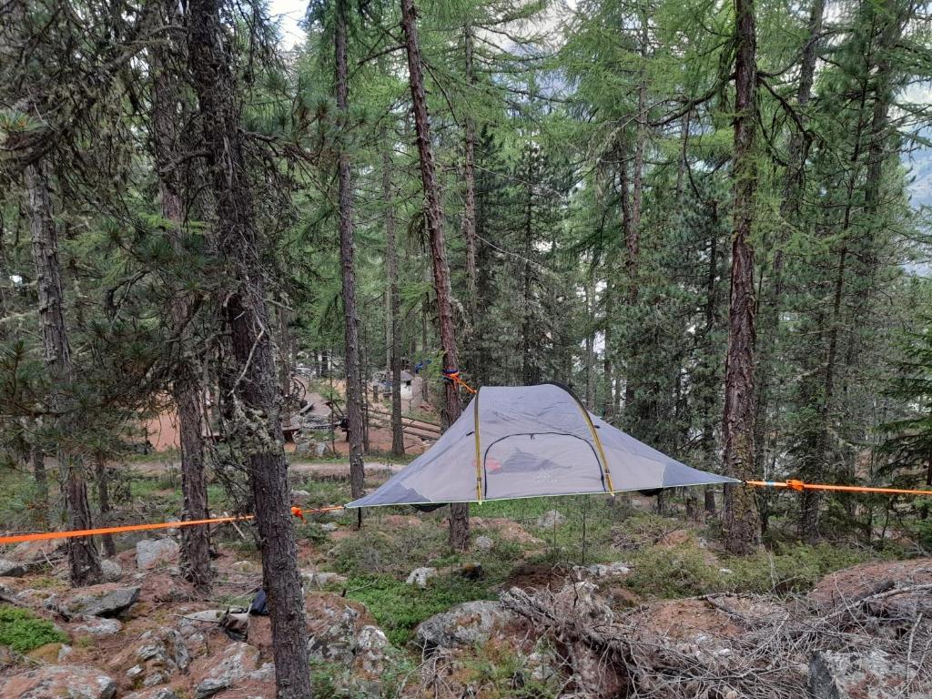 una tenda in mezzo a una foresta di Baumzelte Robis Waldspielpark a Grächen